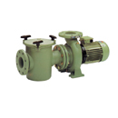 Astral Aral C-3000 Pump 7.5 HP 3 Phase