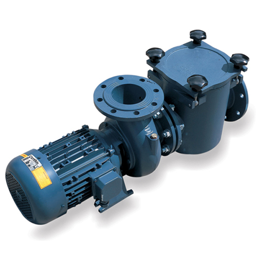 Certikin BP Cast Iron 4hp Pump 3000RPM